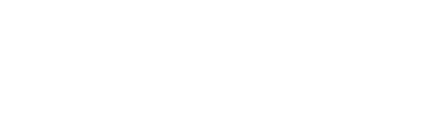Logo DOMEPA DomInvest